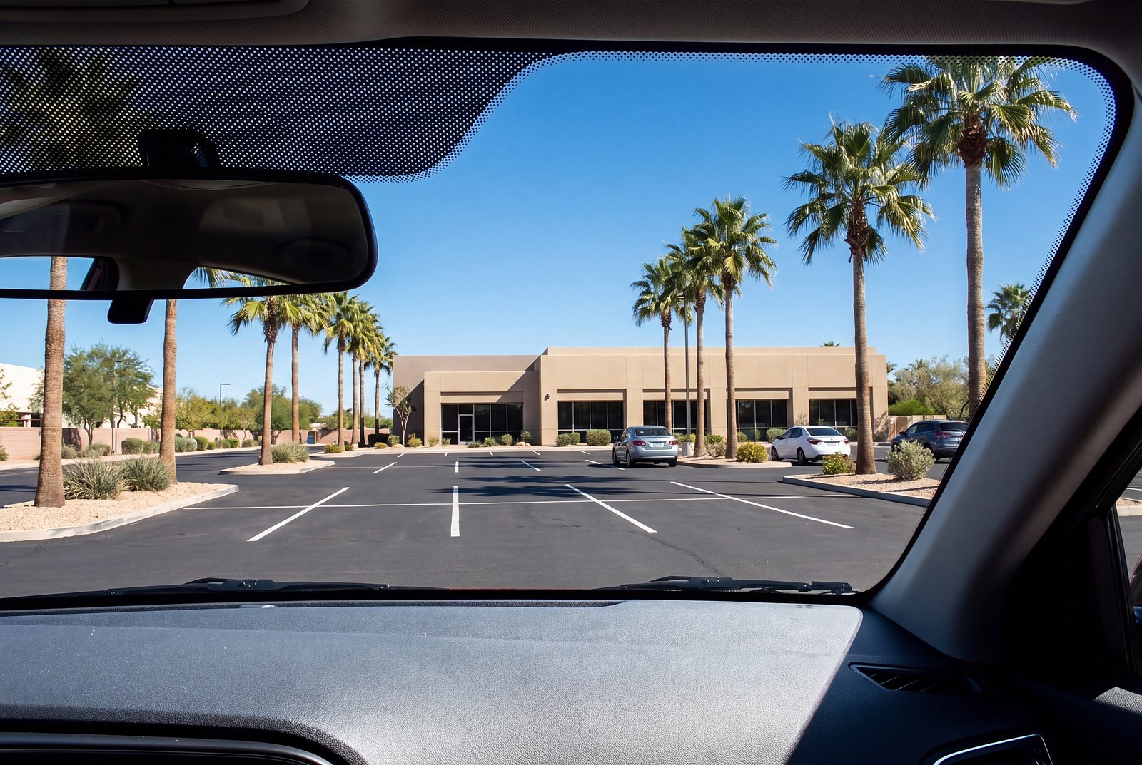 Looking out from the driver's seat through clear windshield glass at a sunny parking lot lined with palm trees.