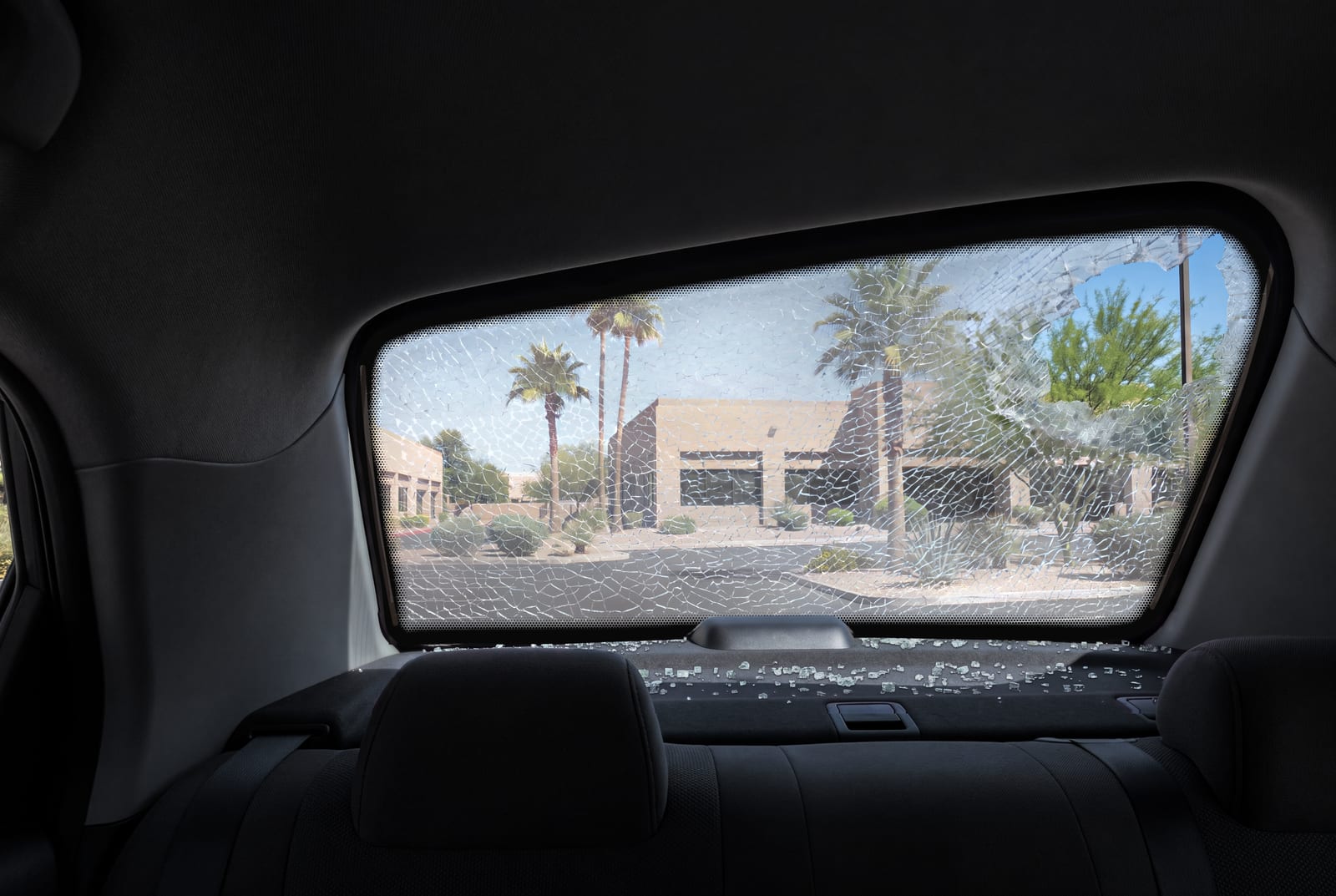Looking back from the rear seat through shattered back glass, the pane crazed into small cubes with a hole in its upper right and small pieces on the rear shelf, palm trees and a parking lot outside.
