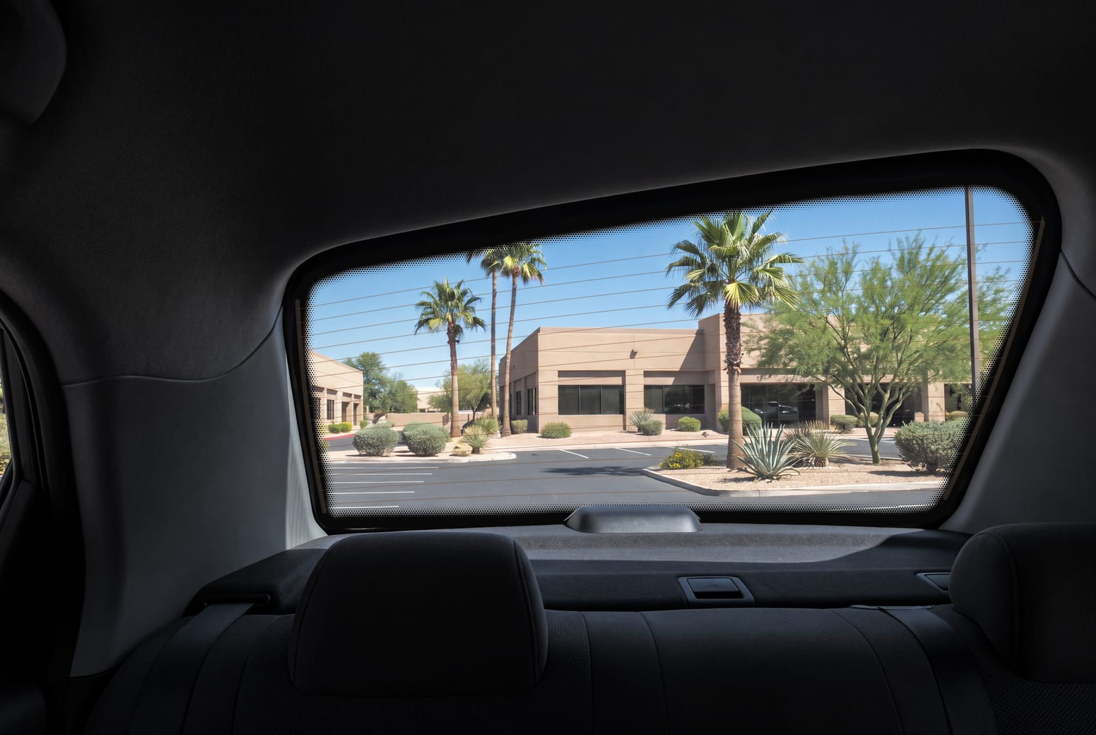 The same view through new back glass with thin defroster lines across it, palm trees and a sunny parking lot outside.