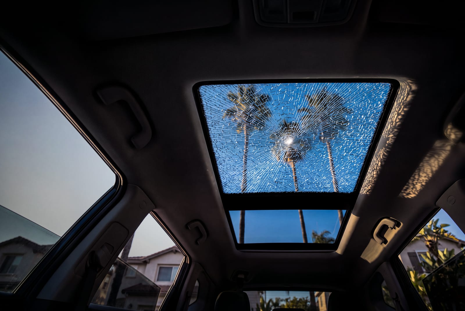 Vista hacia arriba desde el asiento trasero a través de un techo panorámico de vidrio cuyo panel delantero se rompió en una red de pedazos pequeños, con palmeras y cielo azul al fondo.