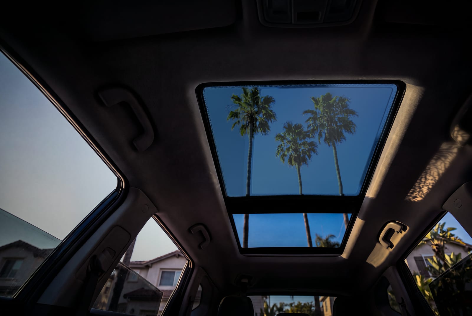 Vista hacia arriba desde el asiento trasero a través de un techo panorámico de vidrio limpio y polarizado, hacia palmeras y cielo azul.